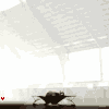 elefant jumping edited by Fabian.gif