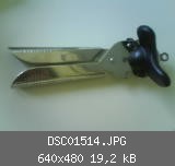 DSC01514.JPG