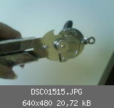 DSC01515.JPG