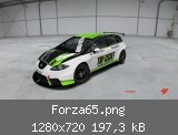 Forza65.png