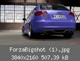 ForzaBigshot (1).jpg
