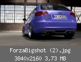 ForzaBigshot (2).jpg
