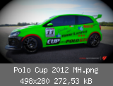 Polo Cup 2012 MH.png