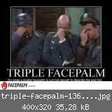 triple-facepalm-13612_w.jpg