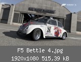 F5 Bettle 4.jpg