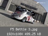 F5 Bettle 3.jpg