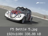 F5 Bettle 5.jpg