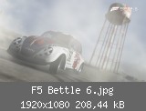 F5 Bettle 6.jpg