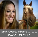Sarah-Jessica-Parker-looks-like-a-Horse-02[1].jpg
