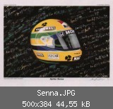 Senna.JPG