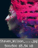 Steven_Wilson_-_Hand._Cannot._Erase..jpg
