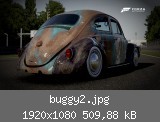 buggy2.jpg